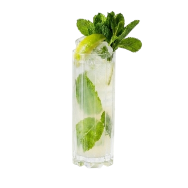 Mojito Virgin